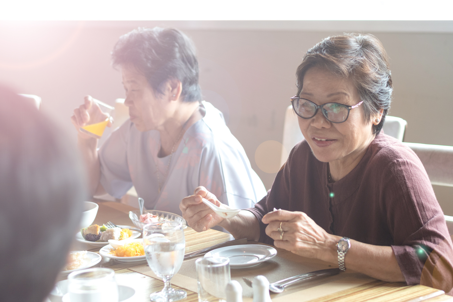 Happy,elderly,twin,senior,people,society,lifestyle,concept.,ageing,asia