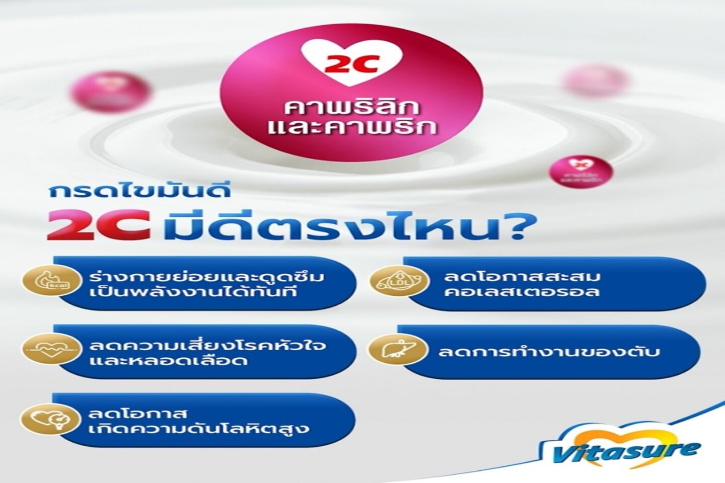 Vitasure Dec 3.3